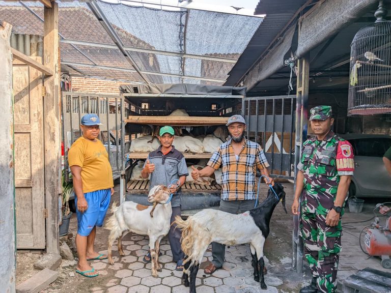 Serah Terima Bantuan Kambing Program Tahun 2025 kepada Kelompok Ternak “Rukun Mulya” Kelurahan Sogaten